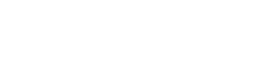 Perplexity Fellowship