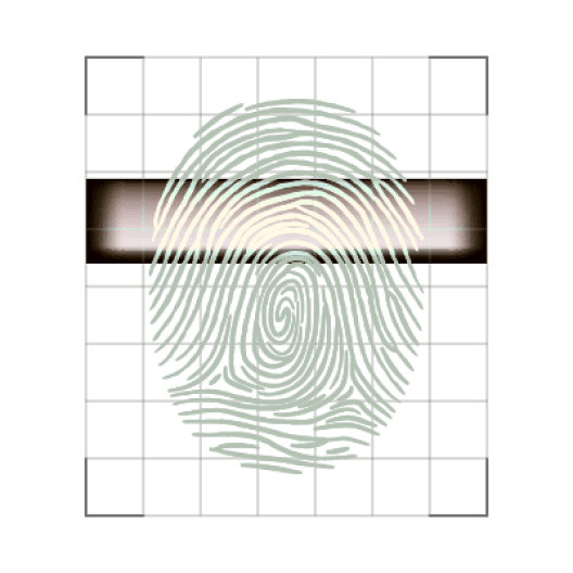 Trust and Identity