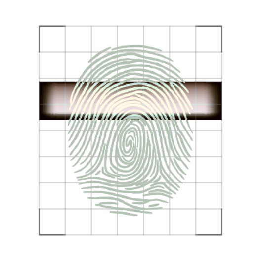 Trust and Identity